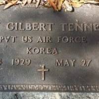 Bay Gilbert (New) TENNEY (VETERAN KOR)